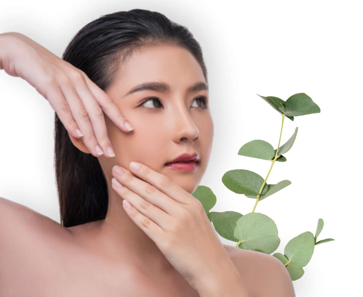 Fillers cynefill ZK MediGroup | Fillers cynefill