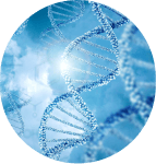 Mesotherapy ZK MediGroup | Mesotherapy