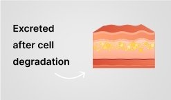 Injection process illustration