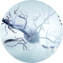 Skinbooster Contraindications