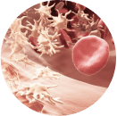 Skinbooster Contraindications