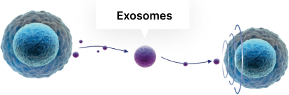 Exosome Skin Booster CYNEFILL ExoDual Illustration of exosomes and stem cells