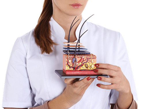 Exosome Skin Booster CYNEFILL ExoDual Visual representation of Minoxidil effects on hair