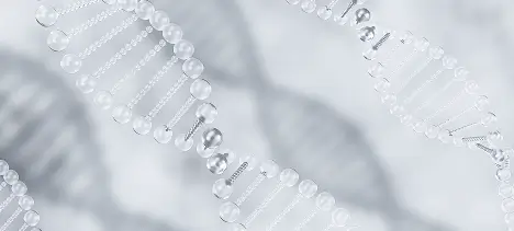 Cynefill NAD+ ZK MediGroup | Cynefill NAD+